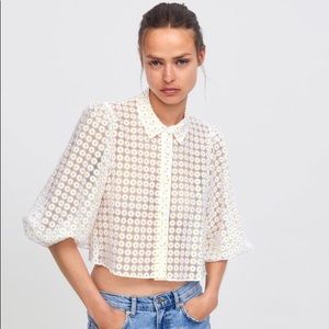 Zara daisy print organza top